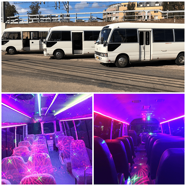 20 Seat Party Bus